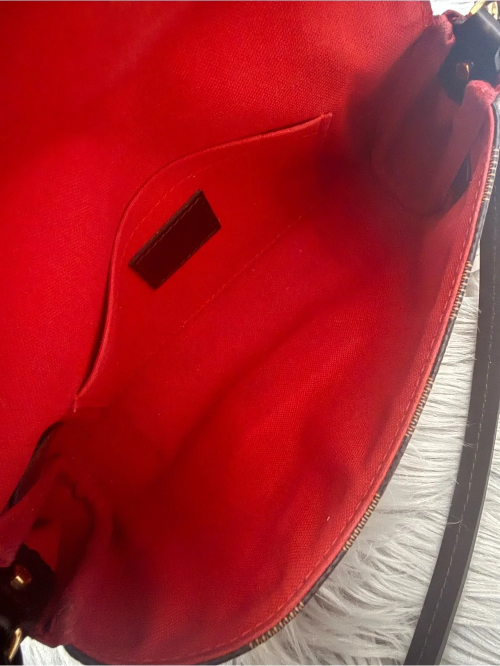 LOUIS VUITTON Favorite PM Damier Ebene Crossbody Bag